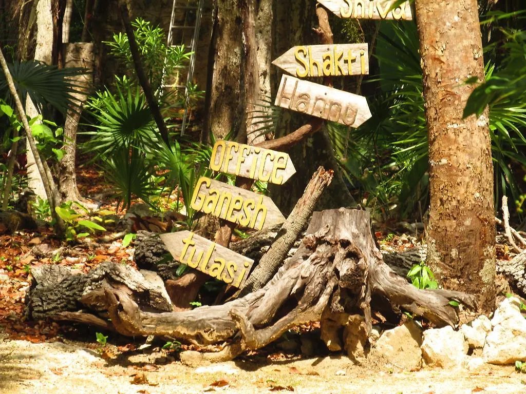 Organic Yoga Mexico Bed and Breakfast Akumal