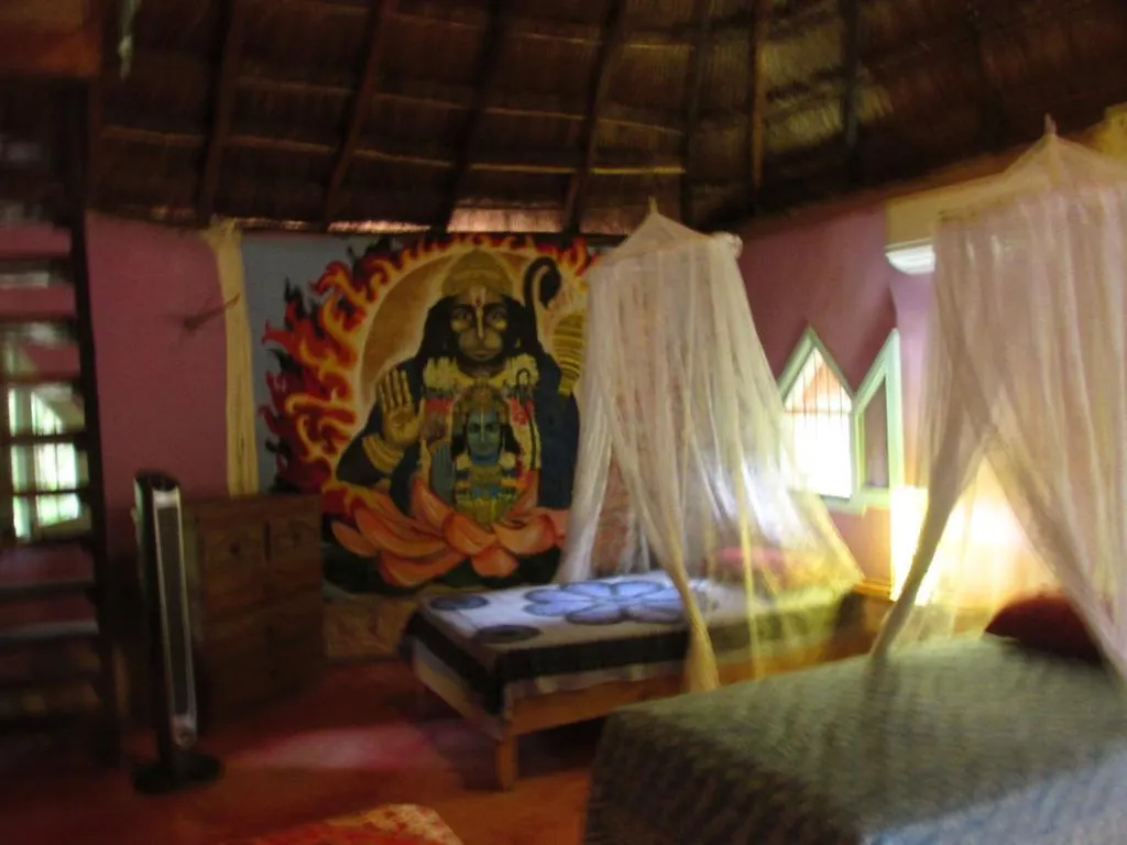 Bed & Breakfast Organic Yoga Mexico Bed and Breakfast Akumal