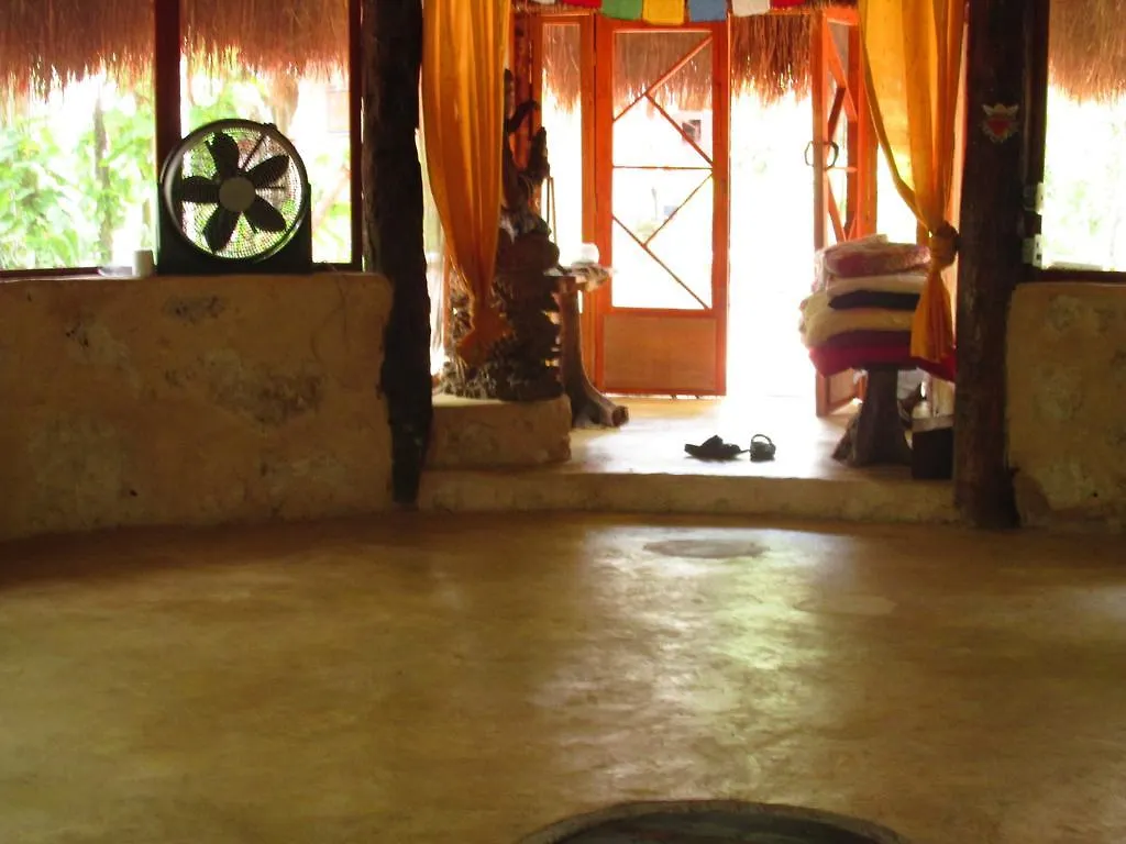 Organic Yoga Mexico Bed and Breakfast Akumal Bed & Breakfast